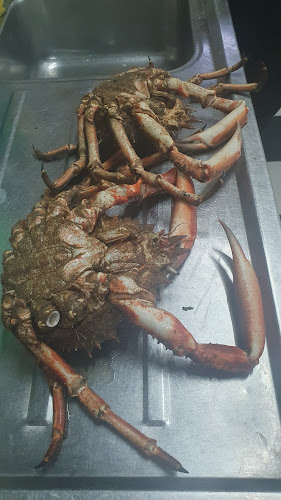 R. Dr. Manuel Arriaga 18, 8700-493 Olhão