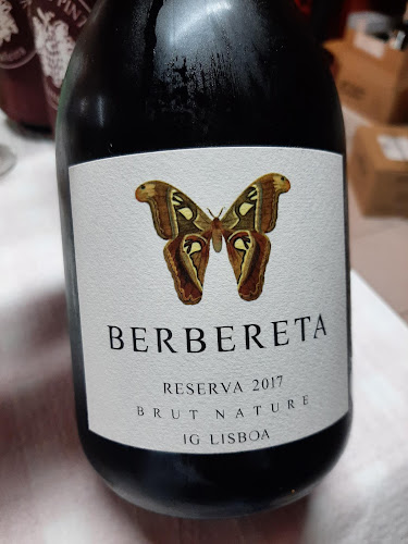 Solar dos Pintor - Santo Antão do Tojal