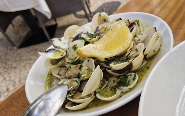 O Dragoeiro - Funchal