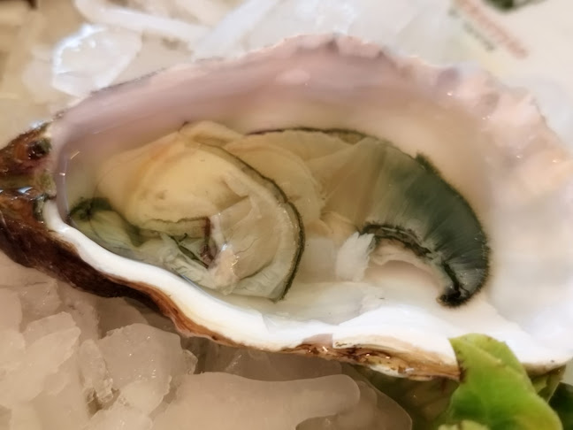 Don Sebastião - Lagos