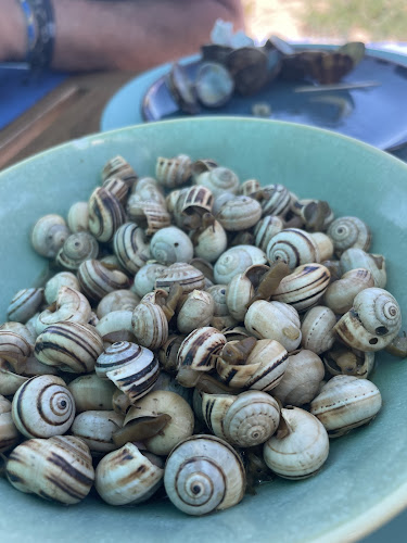 Opinii despre O Praia do Rei în Costa da Caparica - Gastronomia e hotelaria