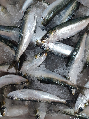 Barra Nova - Gastronomia e hotelaria