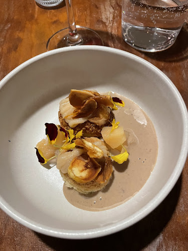 Comentarii opinii despre Apego