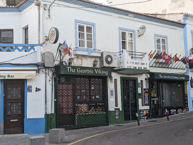 The Geordie Viking