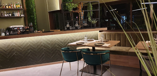 Comentarii opinii despre MIRCATTO