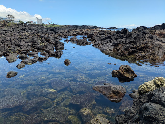 Ondas do Mar - Gastronomia e hotelaria