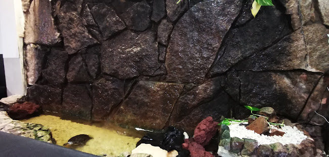 Queda d'Água - Gastronomia e hotelaria