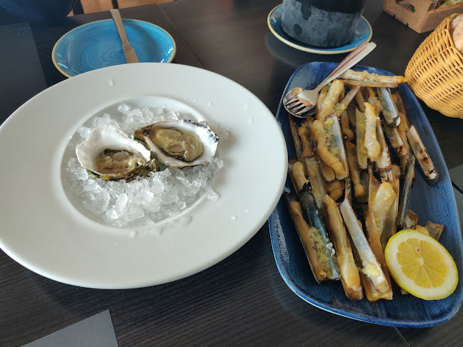 Comentarii opinii despre O Camilo