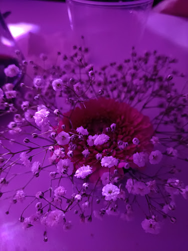 Sociedade Recreativa E Cultural Das Taipadas - Canha