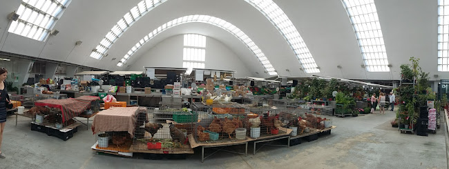 Comentarii opinii despre Mercado Municipal de Matosinhos