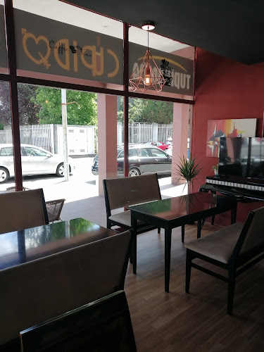 Cupido - Gastronomia e hotelaria