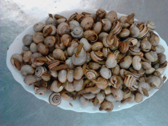 Café São João - Gastronomia e hotelaria