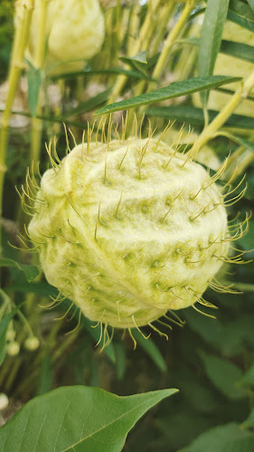 Café Casal - Gastronomia e hotelaria