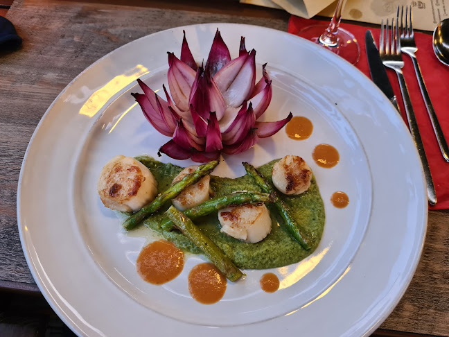 Comentarii opinii despre Essência