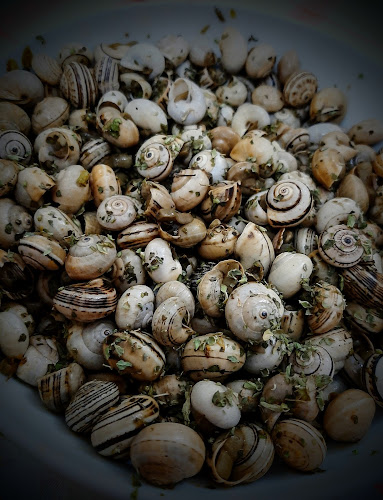 Comentarii opinii despre Bikers Spot Bar