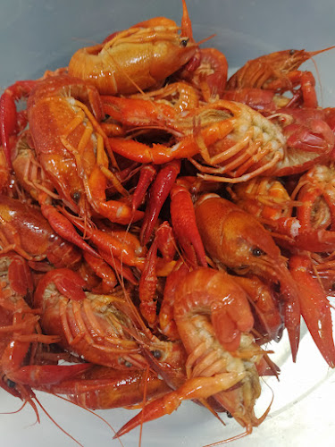 Kikos Café Restaurante - Gastronomia e hotelaria