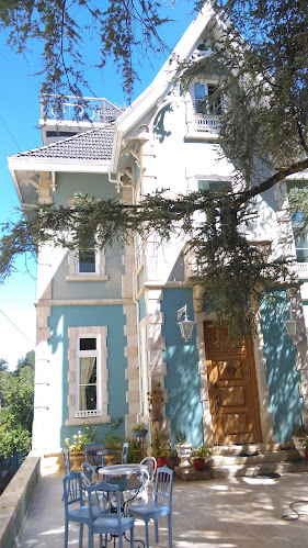 Comentarii opinii despre Saudade