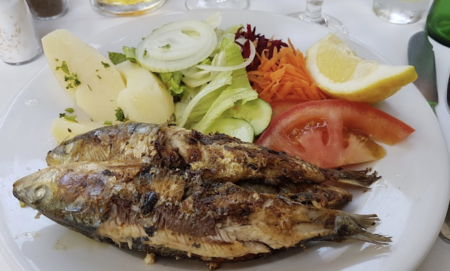 Comentarii opinii despre O Dragoeiro