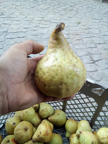 Café Snack Bar Rossio