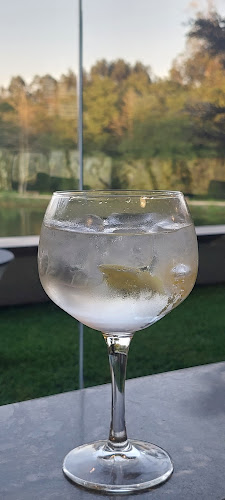 Opinii despre Lago în Santa Maria da Feira - Gastronomia e hotelaria