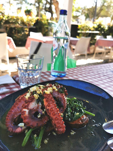 Av. Luísa Todi 490, 2900-456 Setúbal