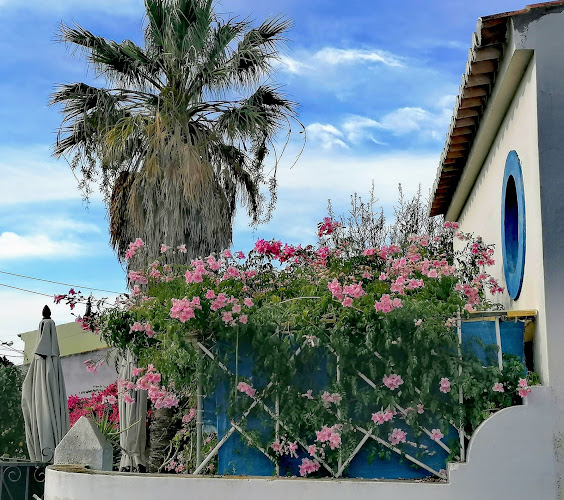 João C Alves Gonçalves - Luz