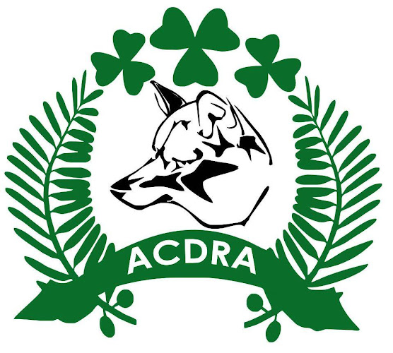 Opinii despre Associação Cultural Desportiva e Recreativa do Casal de São Mamede în Leiria - Gastronomia e hotelaria