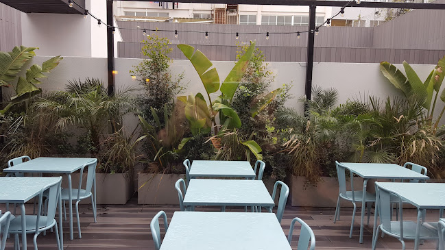 Comentarii opinii despre Stella Saldanha