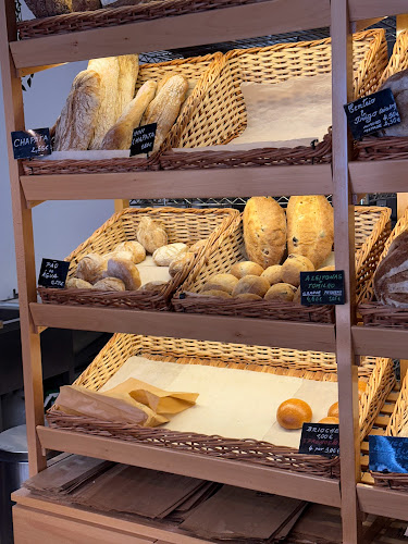 Comentarii opinii despre Tibórnia