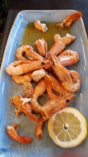 Comentarii opinii despre O Camilo