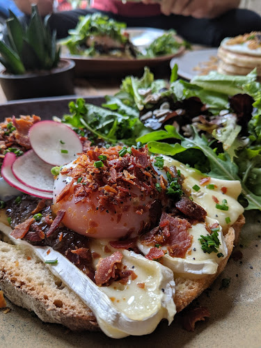 Comentarii opinii despre Fauna & Flora