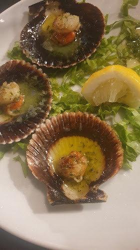 Comentarii opinii despre Aqui Há Gato