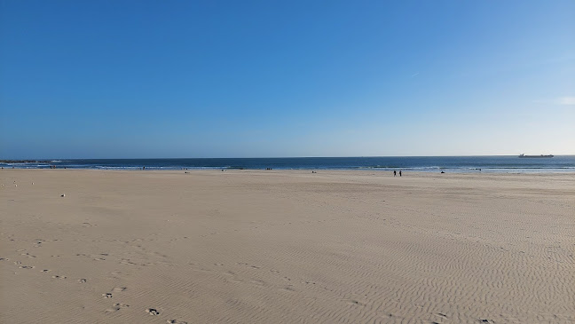 Av. Gen. Norton de Matos 369, 4450-208 Matosinhos