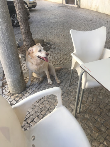 R. Ten. Jean Raymond 18, 2900-169 Setúbal