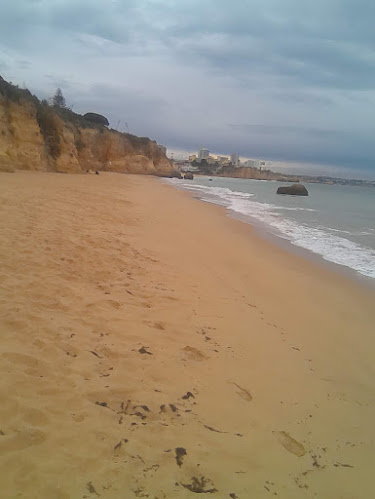 Snack-Bar O Pinheiro - Gastronomia e hotelaria