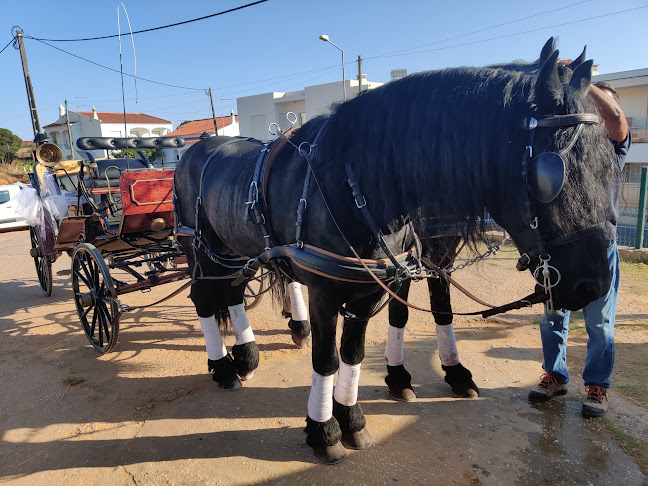Comentarii opinii despre Mini-Mercado Café Tinoco