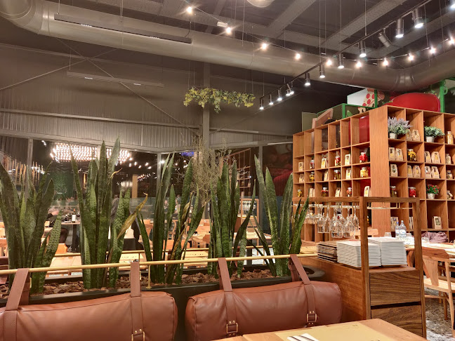 Comentarii opinii despre Il Fiume Nogueiró