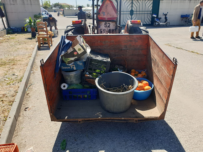 Feira da Palhaça - Palhaça