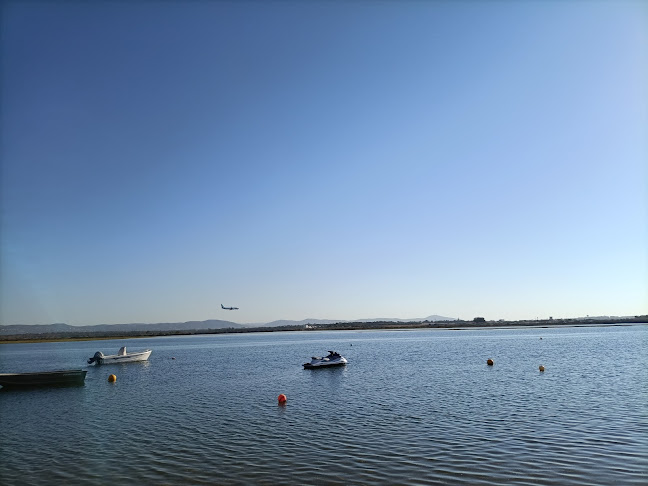 Comentarii opinii despre José de Matos