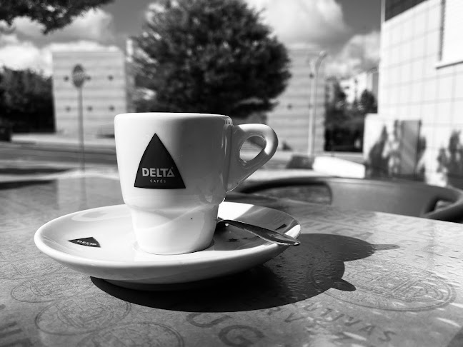 O Gaitas - Castelo Branco