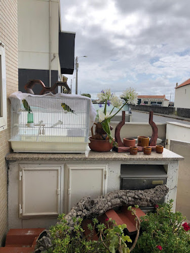 A Tasquinha do Silva - Gastronomia e hotelaria