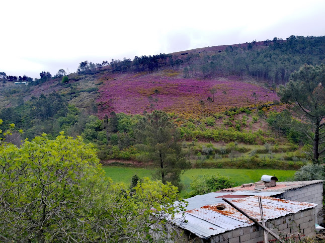 Comentarii opinii despre Café Campo da Feira