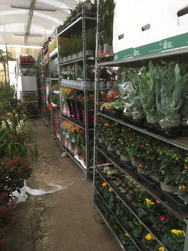 Quinta do Amorinho - Turismo e Animação, Lda - Gastronomia e hotelaria