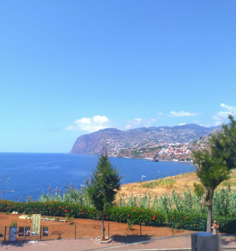 Opinii despre A Capelinha Caffé în Funchal - Gastronomia e hotelaria