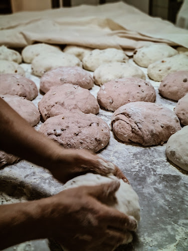 R. Central de Gens 951, 4515-117 Foz do Sousa