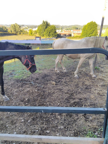 Comentarii opinii despre Chill In