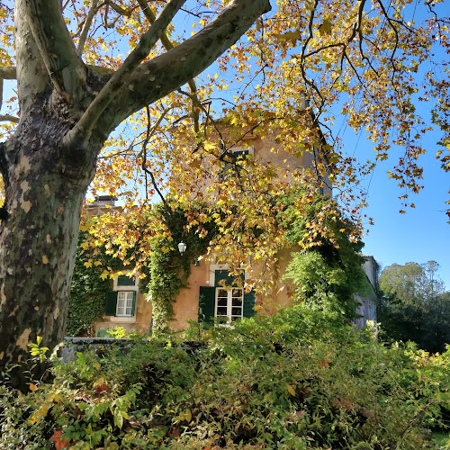 Comentarii opinii despre Quinta das Torres