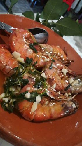 mirafreita.com