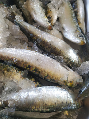 Kikos Café Restaurante - Vendas Novas