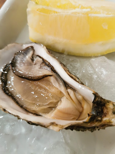 Comentarii opinii despre Meia-Nau Porto